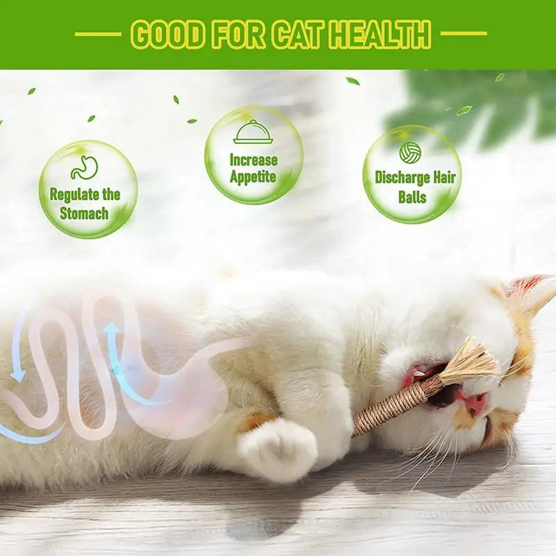 Natural Matatabi Cat Snacks Sticks Catnip Pet Cat Toys Actinidia Polygama Molar Toothpaste Stick Cleaning Teeth
