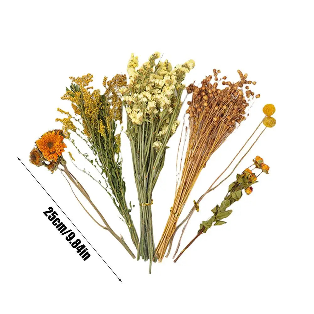 Flower And Plant Bedding Natural Hamster Bedding Hamster Deodorizing Bedding Small Animal Deodorant Product Landscaping Supplies