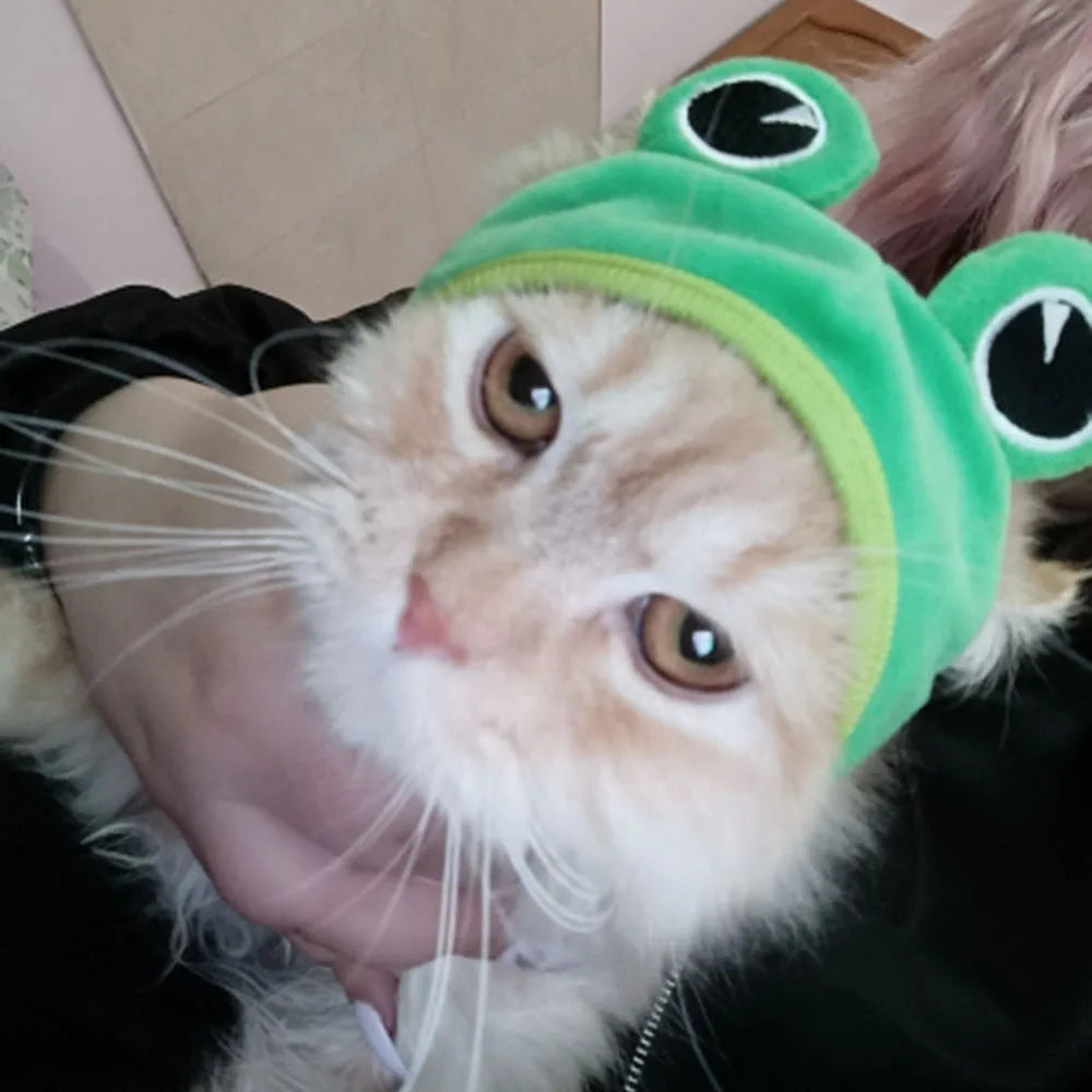 Cute Pet Hat Small Dog Cat Hat Easter Bunny Hat Crab Lobster Frog Cap Pet Party Costume Accessories Headwear for Cat Kitten Pug