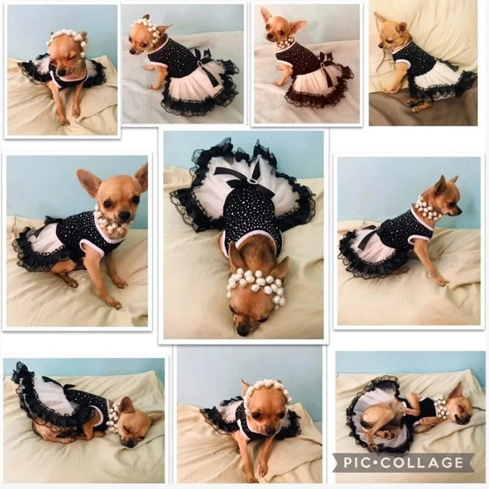 Pet Dog Cat Dress Summer Clothes Dot Dog Dress For Dogs Skirt Summer Princess Dog Wedding Dresses dog dresses for small dogs