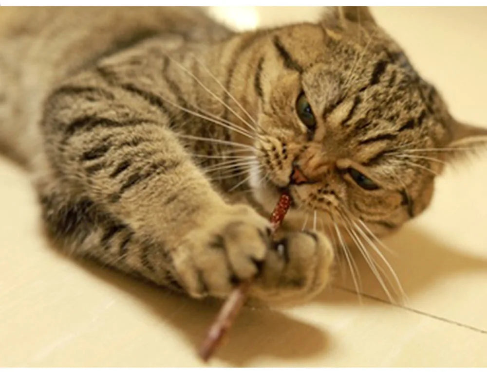 Cat Toys Catnip Chew Toys Funny Cigarette Design Cat Molar Toothpaste Stick Natural Actinidia Silvervine Pet Cat Cleaning Teeth