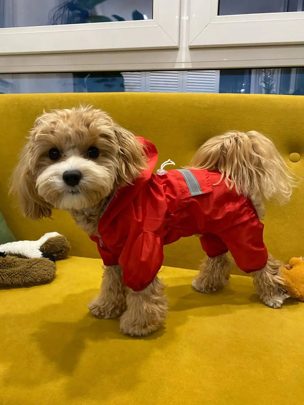 Dogs Raincoat Adjustable Puppy Dog Raincoat Waterproof 4 Legs Raincoat for Small Dogs Outdoor Pet Poncho with Reflective Strap