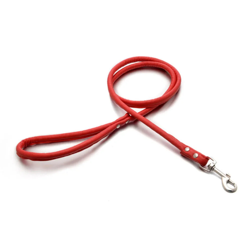 Pet Products Round Colorful PU Rolled Dog Walking Leashes for Small Medium Breeds Dogs Puppy Chain Lead Training Walking Leash