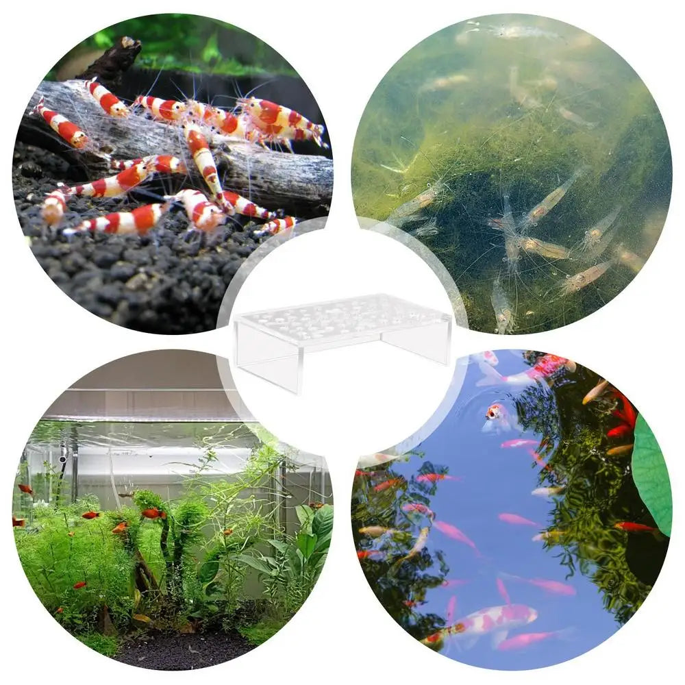 Shrimp Breeding Protector Acrylic Shrimp Breeding Cave Shrimp Tunnel Transparent Cave Shrimp Tank Decor Aquarium Tunnels