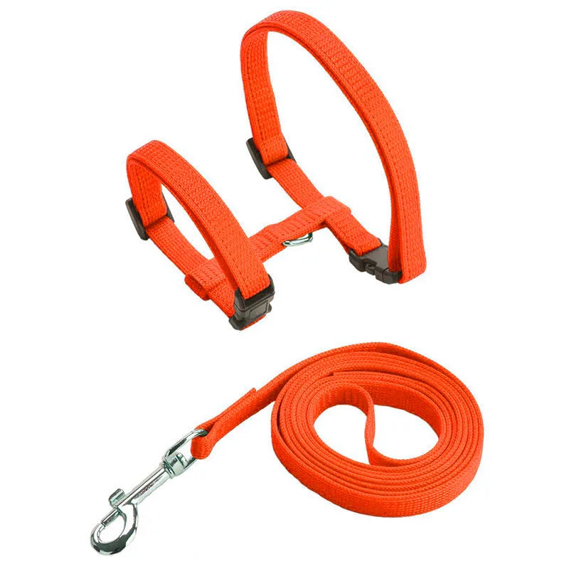 Adjustable Pet Cat Collar For Cats Cozy Nylon Rabbit Kitten Kedi Harness Leash Set Small Puppy Dog Cat Accessories Pet Products