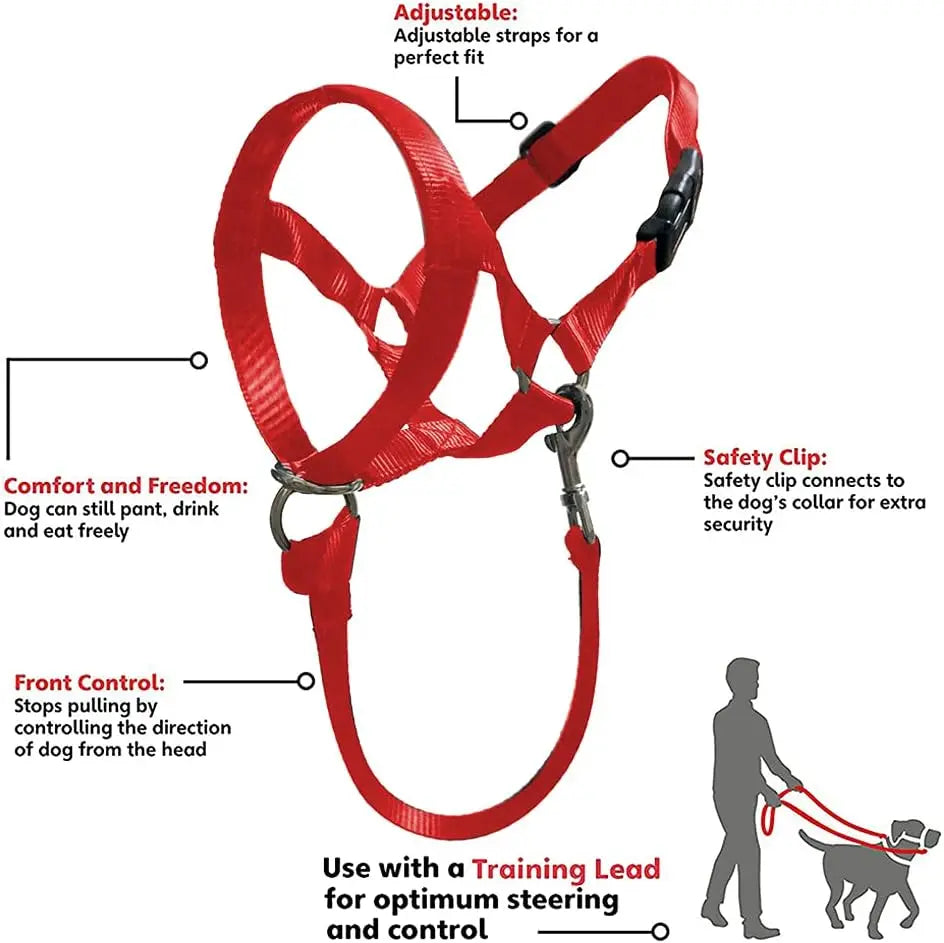 Nylon Dog Muzzle for Small Medium Large Dogs Adjustable Anti Barking Biting , Control Pet Leader Dog Head Collar Halter Leash