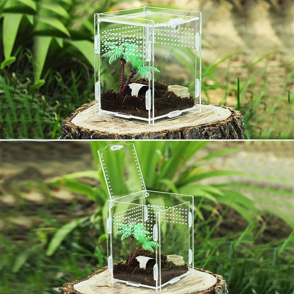 Reptile Terrarium Transparent Reptile Breeding Carrier Lightweight Acrylic Large Feeding Tarantula Habitat Box For Small Animals