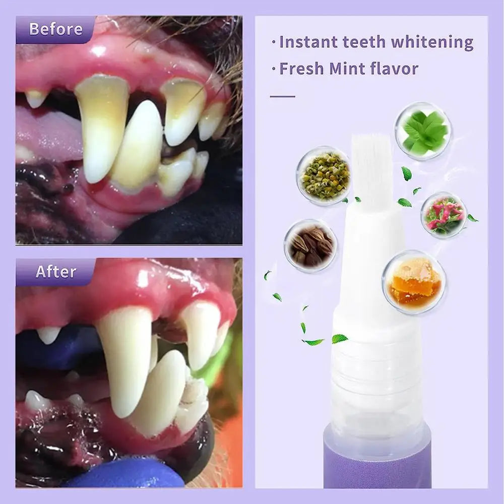 3ml Teeth Cleaning Gel For Dogs Breath Freshener Dog Oral Cleansing Gel Natural Dog Toothpaste Gel For Dogs & Cats Pet Breath