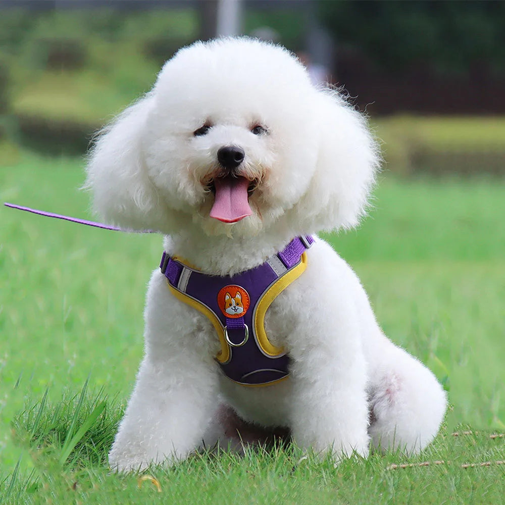 Step-in Dog Harness Small Dog Harness and Leash Set Adjustable Reflective Pet Dog Vest Soft Harness for Puppy Small Medium Breed