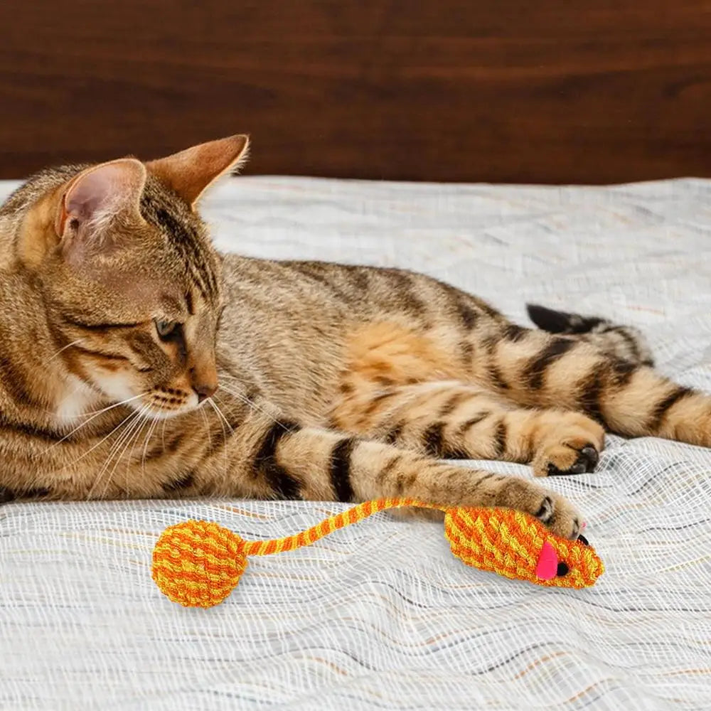Squeaky Mouse For Cats Interactive Cat Toys For Indoor Cats Funny Teeth Cleaning Chew Toys For Small Dogs Cats Puppies Random