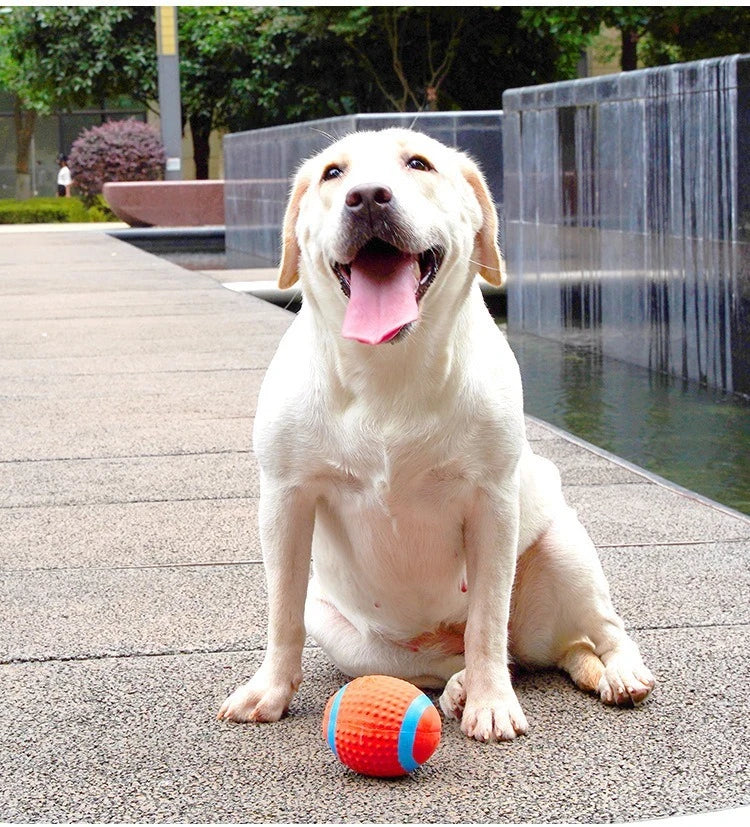 Dog Squeaky Rubber Toys Dog Latex Chew Toy Puppy Sound Toy Animal Bite Resistant Train Dog Supplies for Small Medium Large Dog