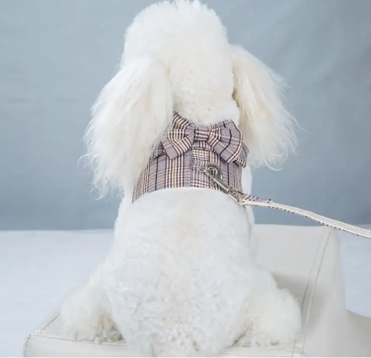 2023New Dog Harness Elegant Comfortable Breathable Pet Dress Collar For Small Dogs Fashion Lovers Vest Dog Harness and Leash Set