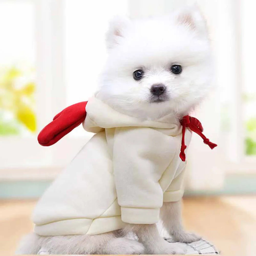 Cute Fruit Pet Costume Dog Clothes for Small Dogs Warm Fleece Doggy Hoodies Pet Dog Cat Clothing Puppy Sweater for Chihuahua Pug