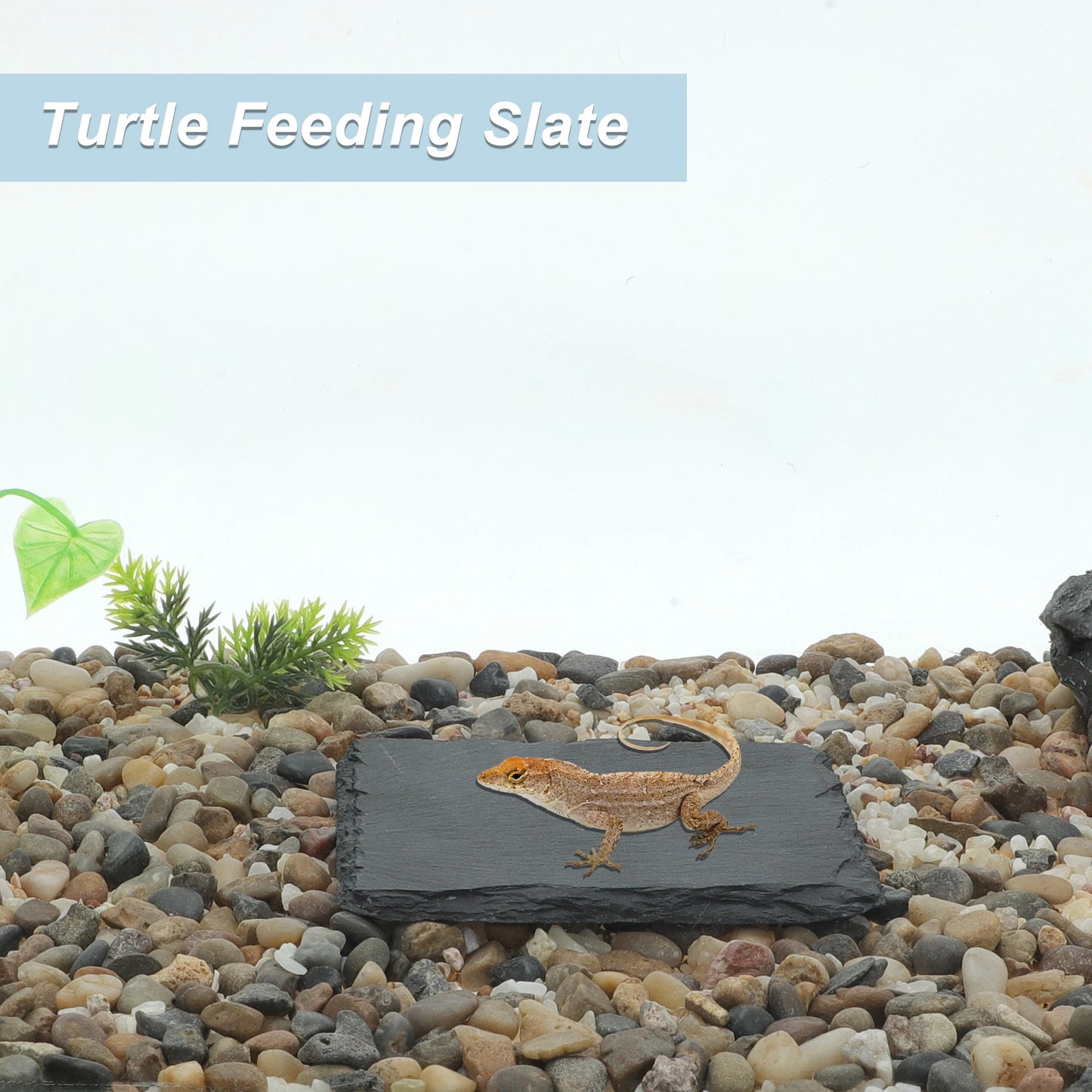 UXCELL Reptile Amphibians Basking Platform Square Habitat Slate Turtle Feeding Slate Gray Black Pet Habitat Décor