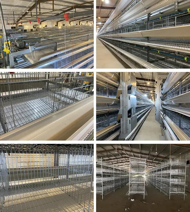 H Type Layer Chicken Cage,Fully Automated Battery Cage Systems, Automated Egg Picking Systems, Customized Purchase on Demand