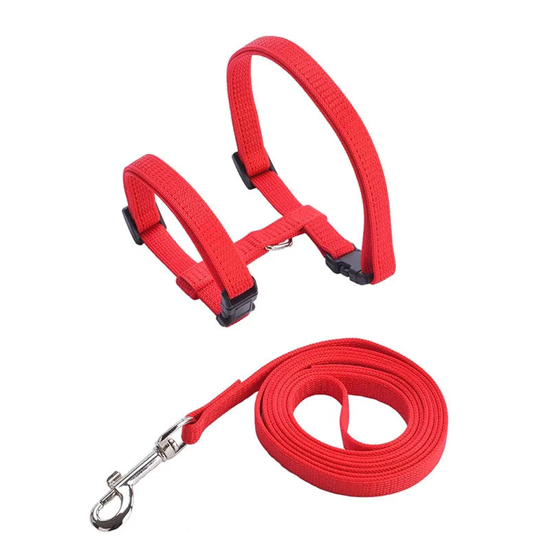 Adjustable Pet Cat Collar For Cats Cozy Nylon Rabbit Kitten Kedi Harness Leash Set Small Puppy Dog Cat Accessories Pet Products