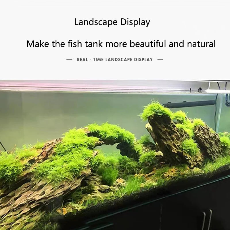 Natural Aquarium Decoration Stone Rockery Landscaping Fish Tank Porous Pine Stone Beautiful Landscape Good for Plants Growth