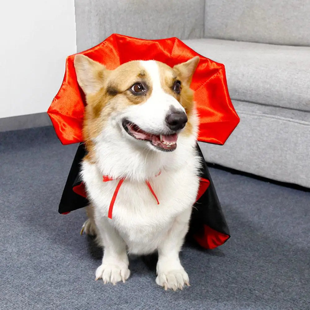 Pet Halloween Pet Costume Cape Hat Cat Dog Transformation Costume Christmas Dress Up Creative Holiday Atmosphere Decoration