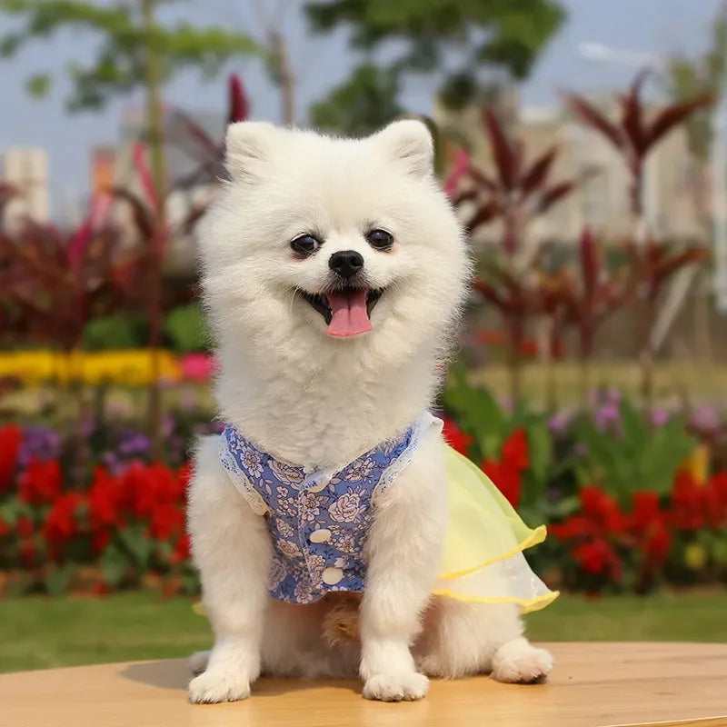 2024 Summer Dress for Dog Pets Clothes Chihuahua Wedding Dress Skirt Cloth Accessory Dog Pet Dress Supplies Hanbok Cat Costume