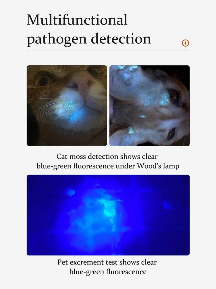 1PC Cat Moss Detection Light Black Mirror UV Fluorescent Light Pet Fungus Detection Veterinary Professional Equipment