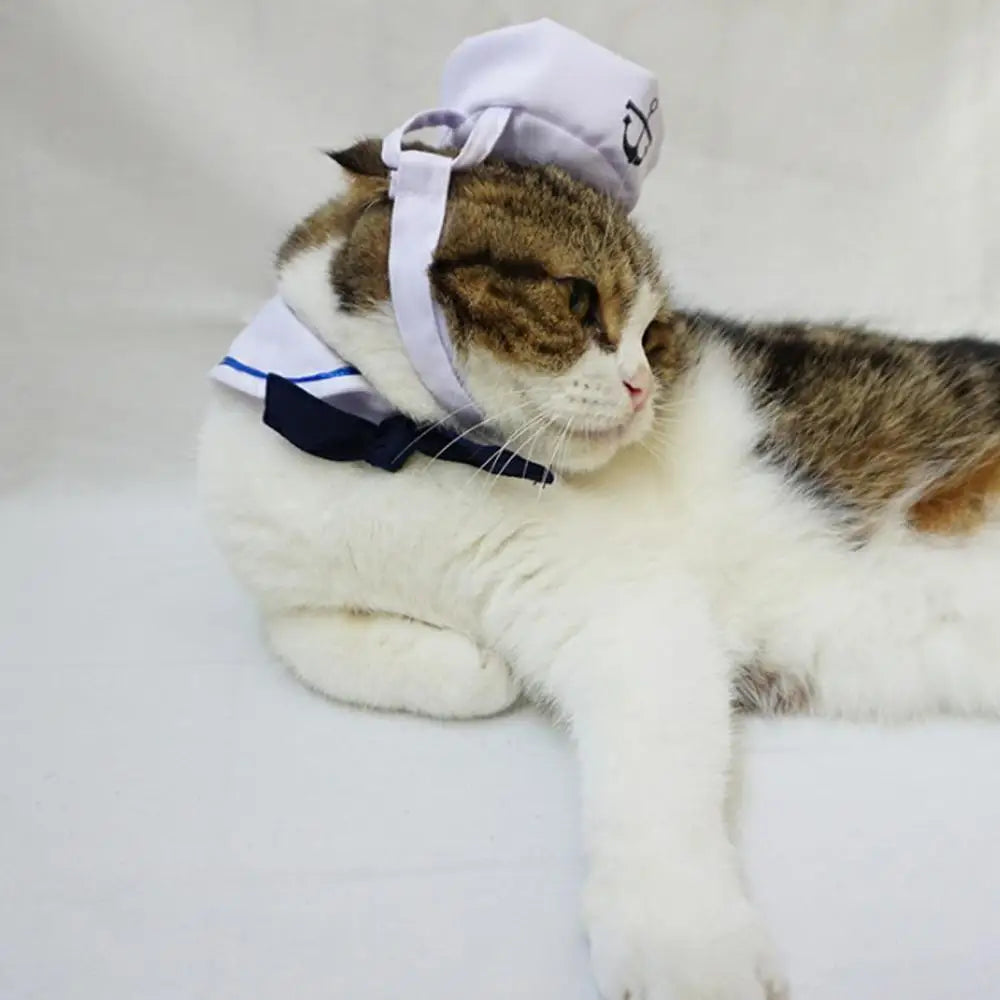 2018 Lovely Stylish Navy And Sailor Style Hat Plus Scarf Suit For Dogs And Cats Pet And E Navy Cloak