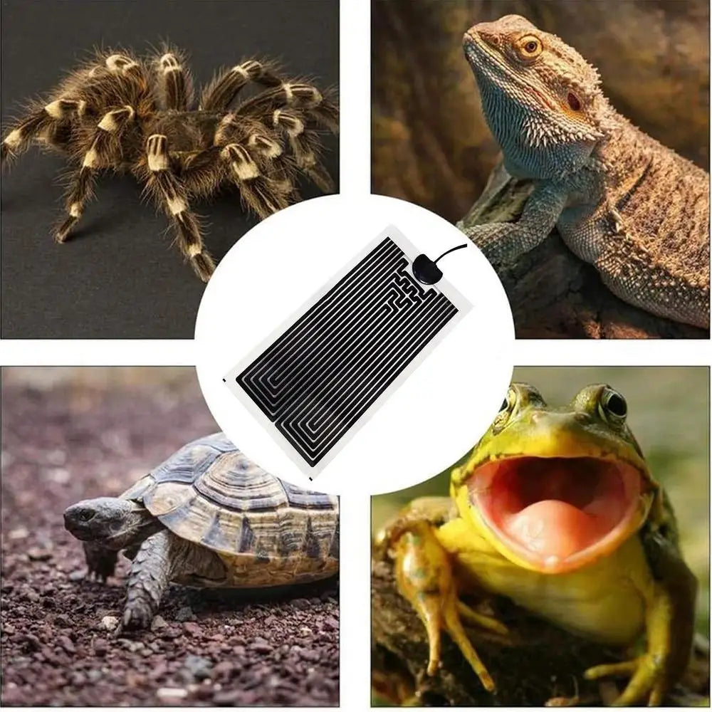 Terrarium Heating Mat Temperature Adjustable Snake Heating Pad Reptile Heating Pad Snake Heating Pad Reptile Heat Mat Under Tank