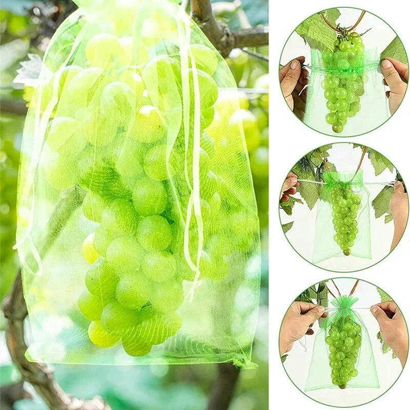 50Pcs Fruit Protection Anti-Bird Bags Strawberry Grapes Mesh Bag Plante Vegetable Netting Cover Garden Tool