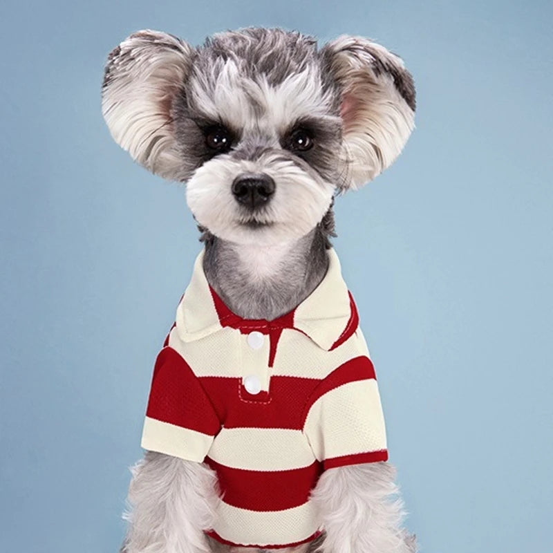 Striped Pet Polo Shirt Summer Dog Clothes for Small Dogs Cotton Puppy Vest Chihuahua Bichon Costume Cat T Shirt Dog Undershirt