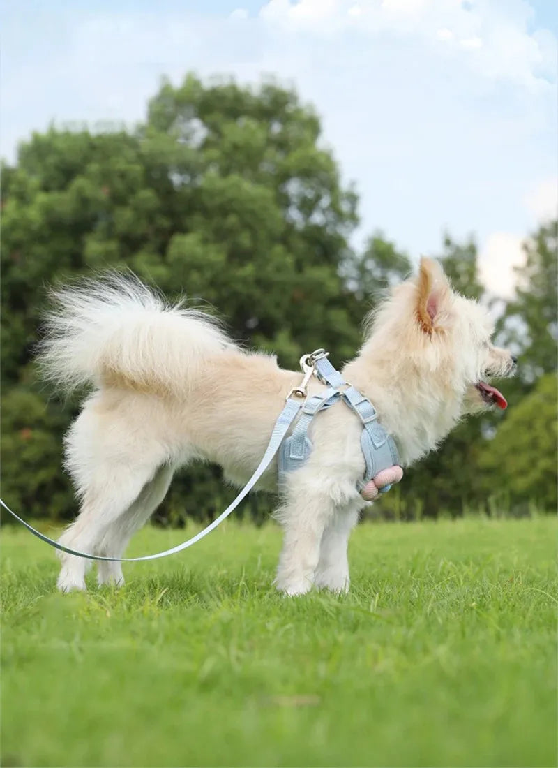 Adjustable Pet Dog Harness with 1.2m Leash Set Pet Collar Leash Outdoor Walking For Puppy Cats French Bulldog Chihuahua