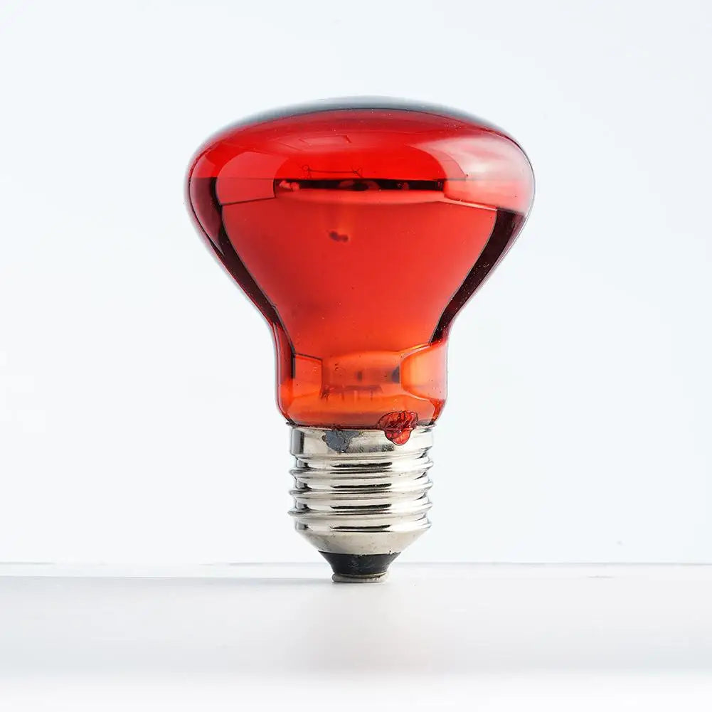 E27 Reptile Bulb Heating Night Light Daylight UVA 55g Ceramic Heating Lamp Simulates UVA In Natural Sunlight Meet Lighting Needs