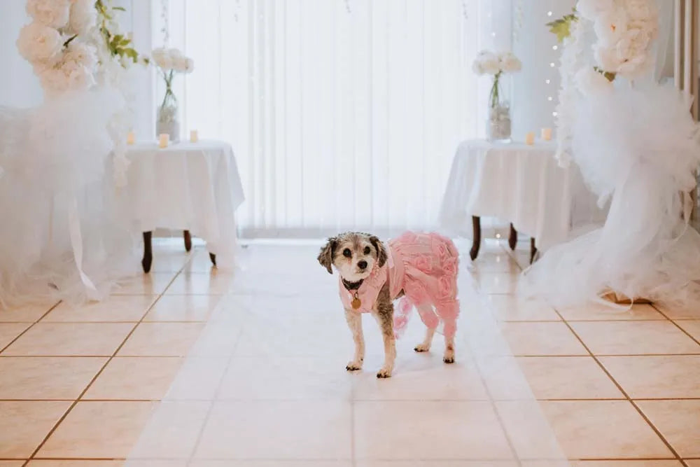 Dog Dresses Puppy Wedding Dress Female Dogs Wedding Costume Girl Dogs Rose Dress for Doggy Teddy Chihuahua Pet Princess Clothing