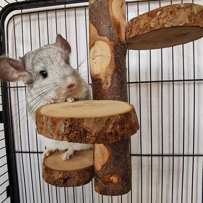5/10Pcs DIY Natural Wood Slices Round Wooden Circles for Hamster Rabbit Teeth Grinding Toys for Chinchilla Pet Toys accessories