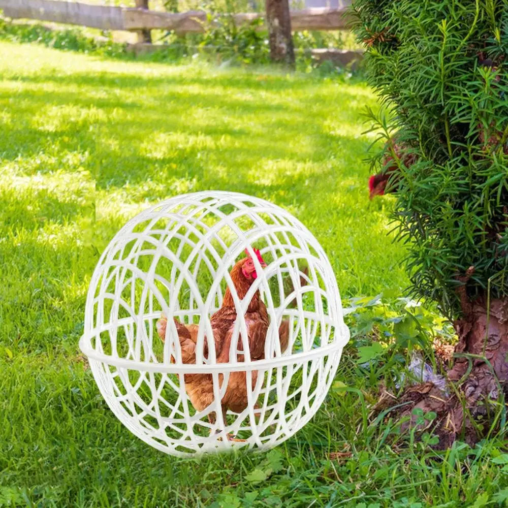 Ball Cage For Chickens Movable 3 Pieces Chicken Orb Ball Cage Pet Safety Chicken Cage Ball-Shaped Chicken Hamster Ball Cage