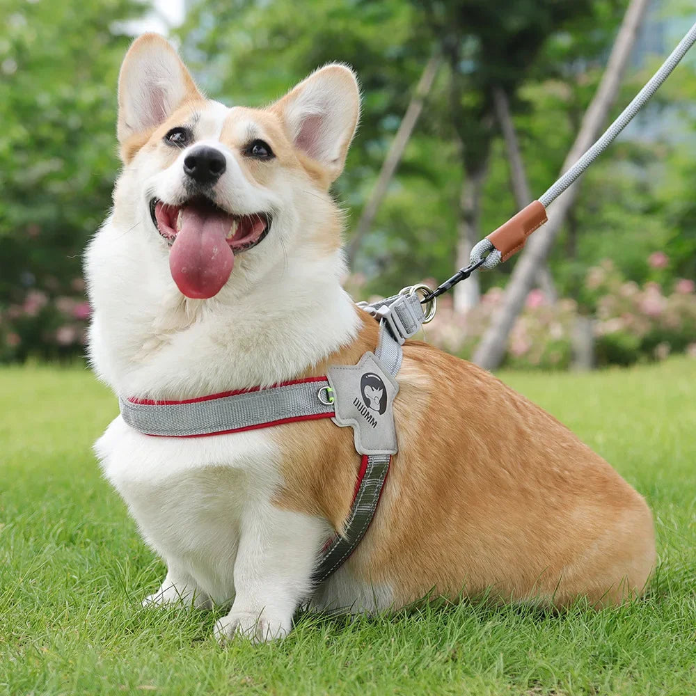 Breathable Y Shape Dog Harness Adjustable Step In Pet Harness Vest for Puppy Small Large Dog Chest Harness Reflective Dog Collar