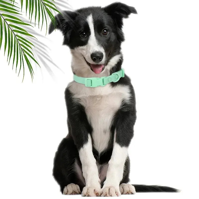 New Macaron Colored PVC Dog Collar Waterproof Dirt Resistant Easy To Clean Pet Collar Adjustable Neck Collar Pet Dog Collar Set