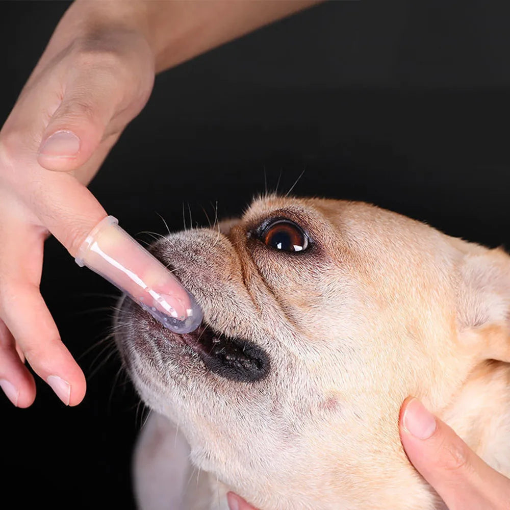 Dog Toothbrush Pet Fingertip Toothbrush for Cat Super Soft Oral Care Toothbrushes Finger Brush for All Pets Tooth Cleaning Brush