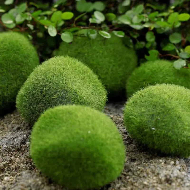 Simulated Green Algae Ball Aquarium Decoration Sunken Grass Landscape Ecology Fish Tank Landscape Decoration Aquarium Plants