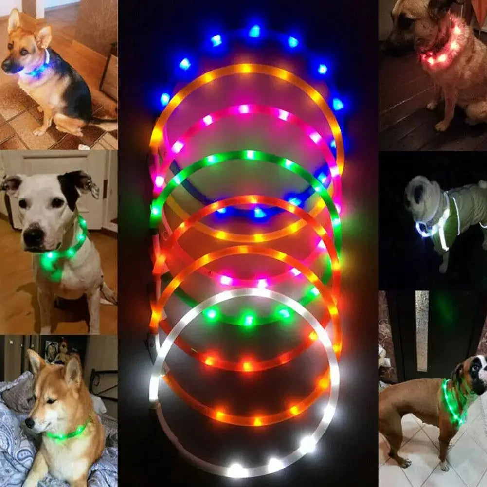 50cm LED Luminous Dog Collar Waterproof And Dustproof Visual Night Dog Walking To Prevent Lost Creative Color Dog Sub-sign Light