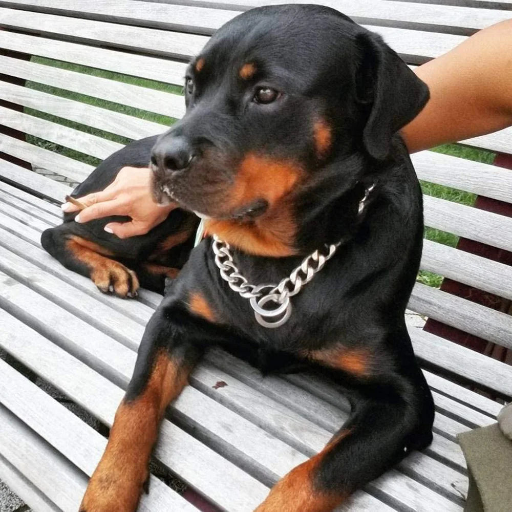 Dog Chain Collar Silvery Golden 15MM Width Cuban Link Chain for Dogs Strong Smooth Stainless Steel Metal Pet Training Slip Chain