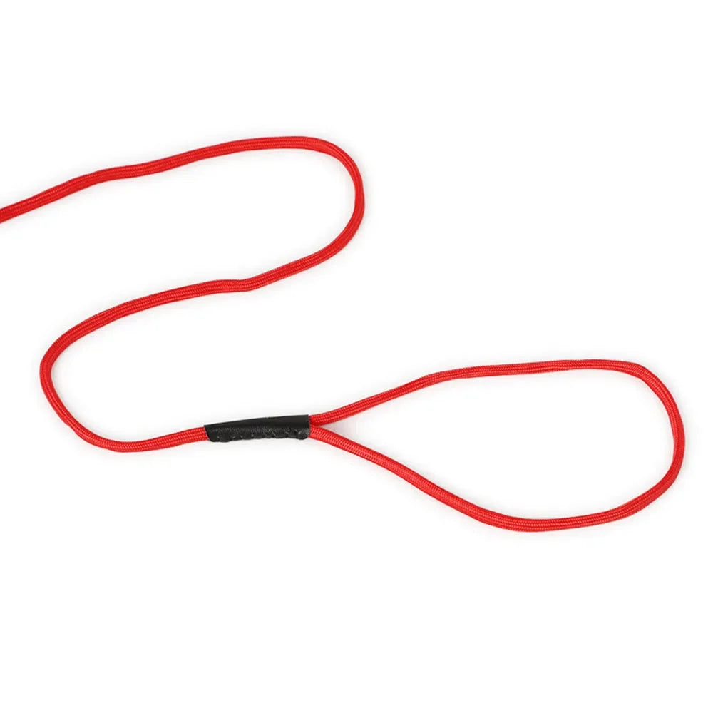 Superior Thin Nylon Slip Lead Dog Leash 5mm*120cm No Pull Pet Slip Leash for Puppy Training Adjustable Slip Collar for Small Dog