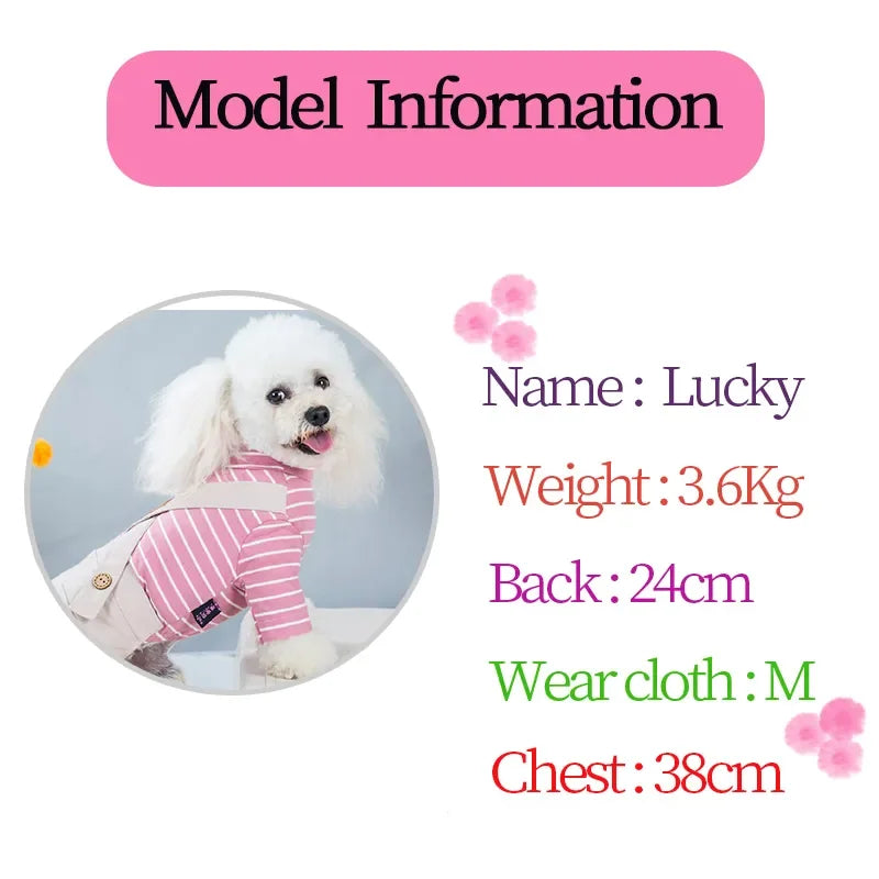 2023 Princess Dog Colorful Stripe Soft Suit Puppy Jumpsuit Spring Doggie Casual Pants Small Medium Pet Couple Four-Legged Coat