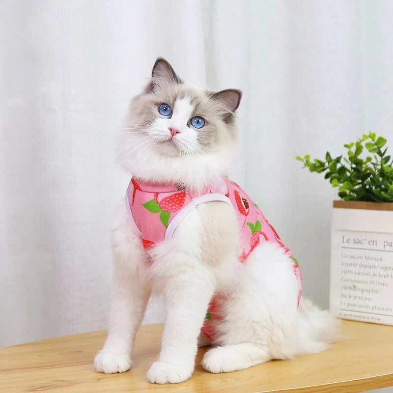 Cute Cartoon Print Overalls for Small Medium Dogs After Sterilization Dressing Surgery Pet Cat Outfit Soft Cotton Puppy T Shirts