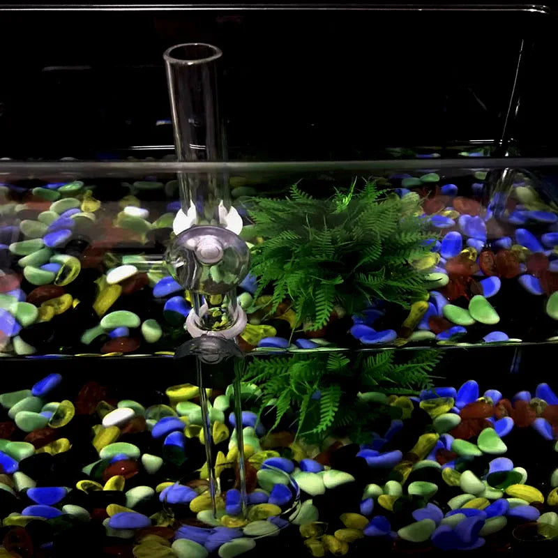 1Pcs Acrylic Aquarium Feeder Tube Dish Transparent Fish Tank Shrimp Snail Shrimp Food Feeder Bowl Aquarium Feeding Accessories