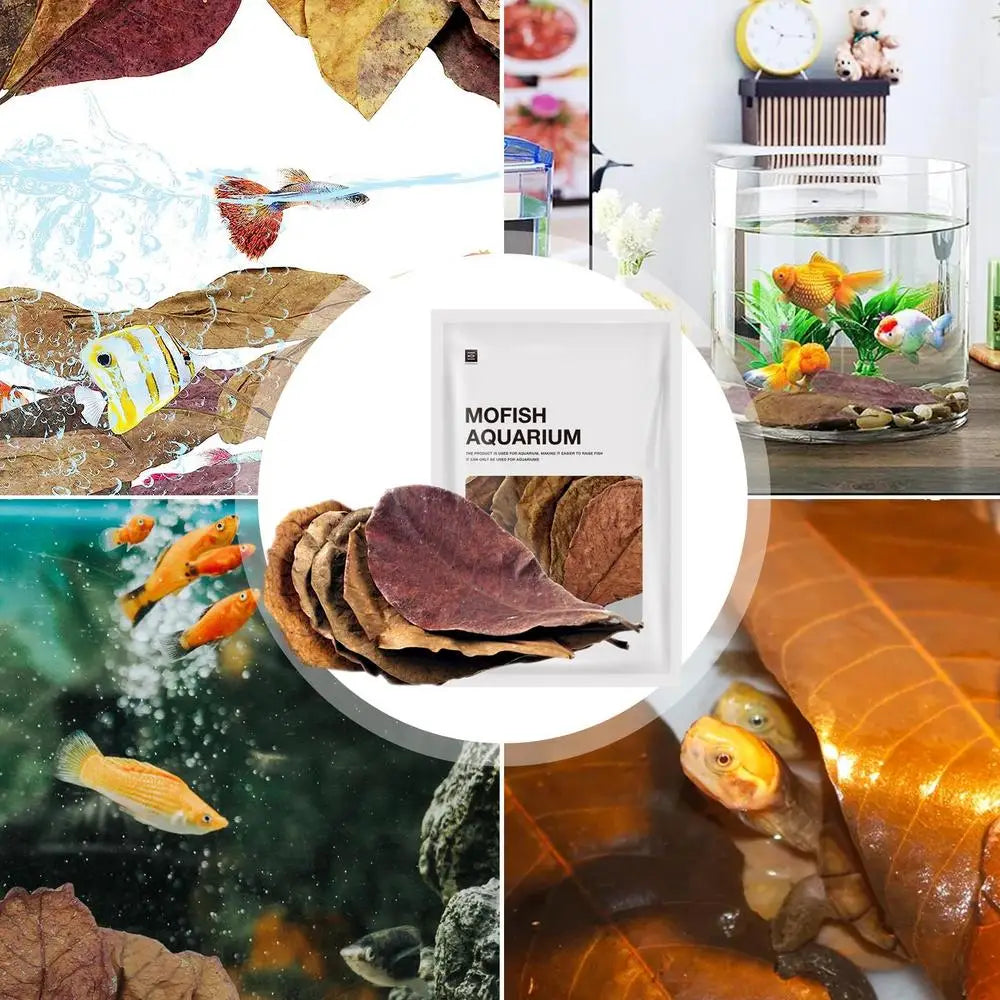 20pcs Aquarium Almond Leaves Catappa Almond Leaves Catappa LeavesTank Fish Cleaning Indian Almond Tree Aquarium Decoration