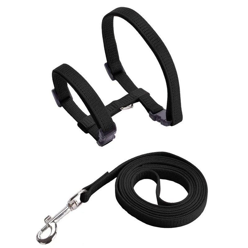 Adjustable Pet Cat Collar For Cats Cozy Nylon Rabbit Kitten Kedi Harness Leash Set Small Puppy Dog Cat Accessories Pet Products