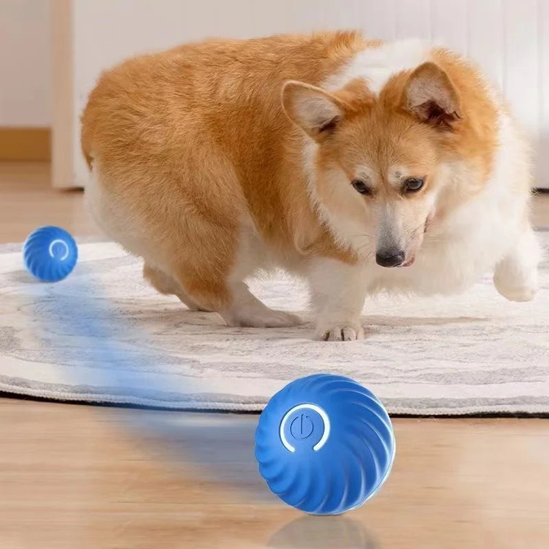 Intelligent dog toy ball automatic electronic interactive training pet toy sports ball rechargeable(including shell replacement)