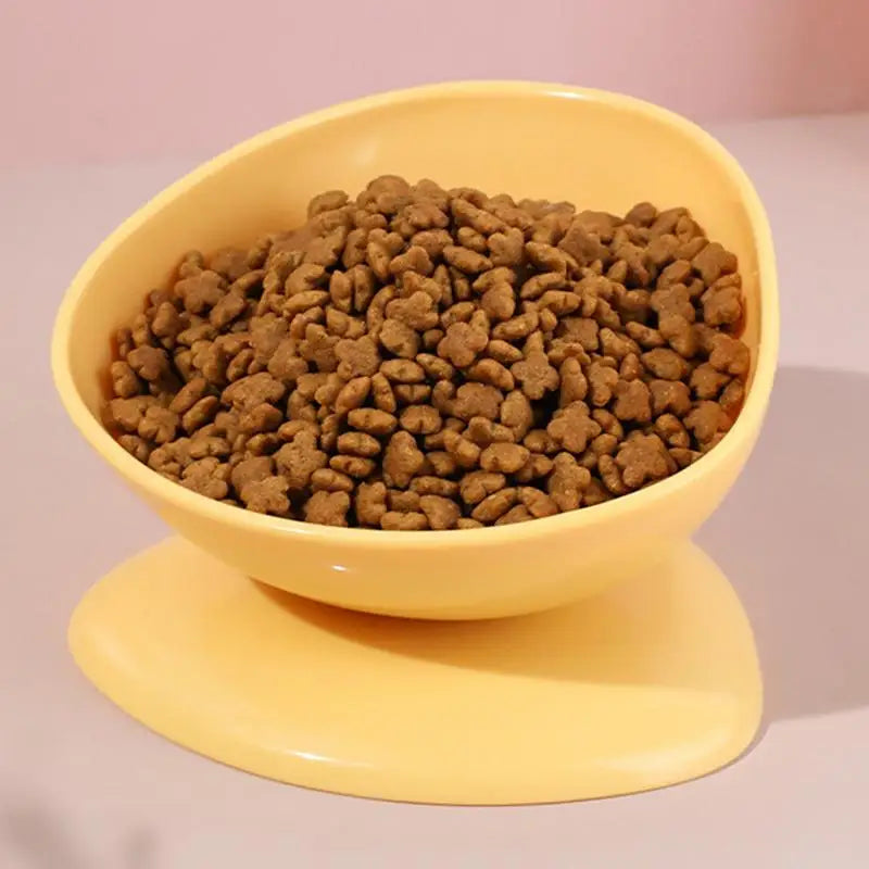 Raised Cat Food Bowl Spill Proof Cat Bowls Portable Dog Food Feeding Pet Feeder with Anti Slip Base for Indoor Cats Puppy Dogs