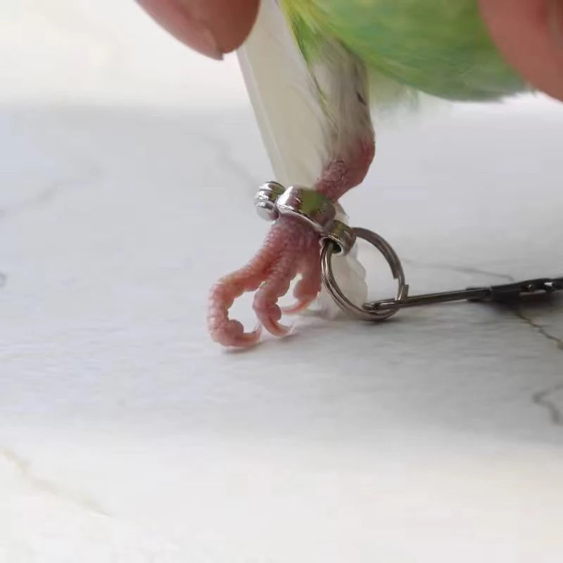 Stainless Steel Bird foot Chain Parrot Anti-flying Traction Rope Bird Feet Bracelet Alloy Foot Ring Pet Bird Training Leash