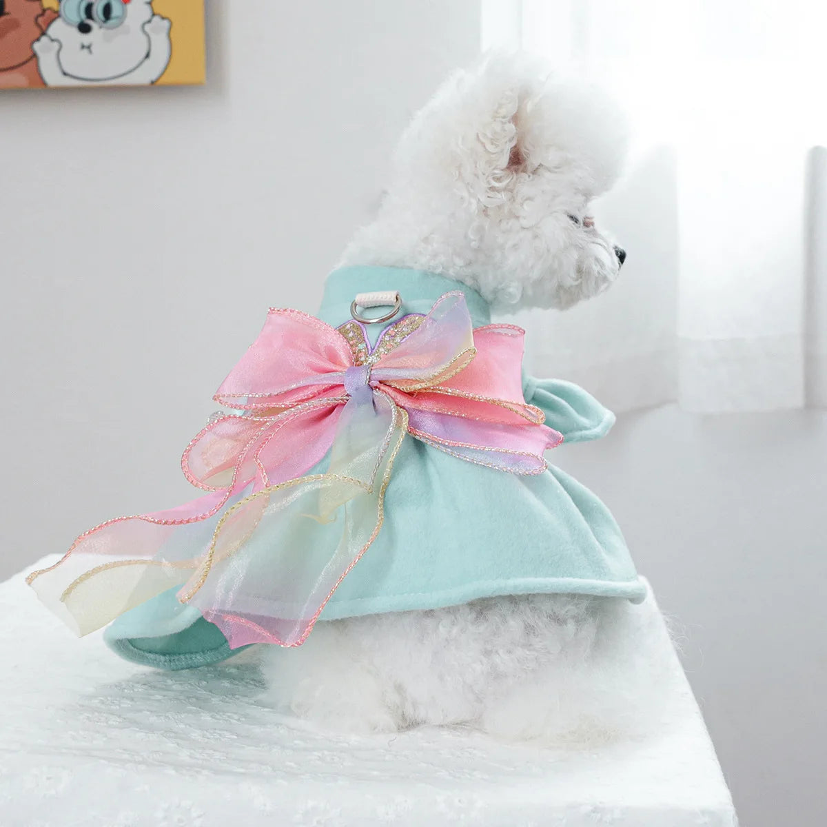 Luxury Woolen Princess Dress for Small Dogs Girl, Autumn Winter Warm Dog Clothes Yorkie Chihuahua Puppy Bowknot Skirts