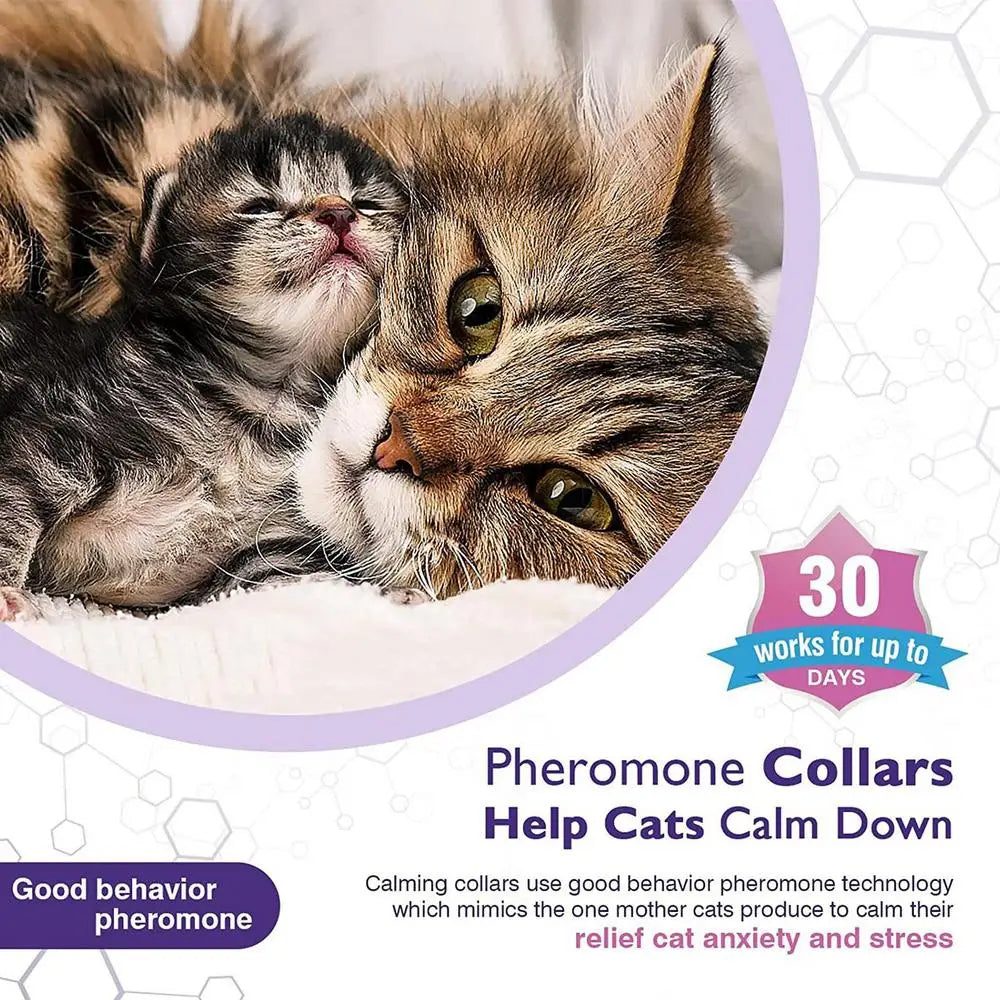 4pcs Calming Collar For Cats Relax Cat Pheromone Collar Calming Pheromone Collar Cats Adjustable Long-Lasting Pheromone Collar